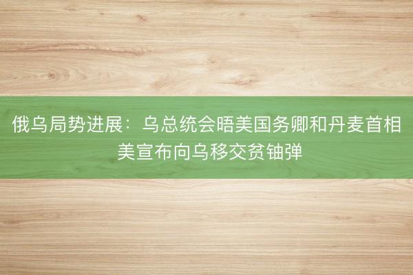 俄乌局势进展：乌总统会晤美国务卿和丹麦首相 美宣布向乌移交贫铀弹