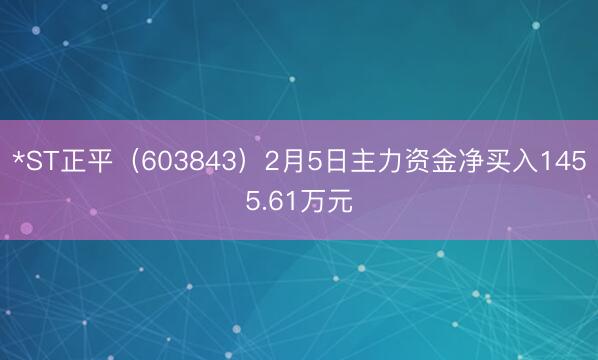 *ST正平（603843）2月5日主力资金净买入1455.61万元