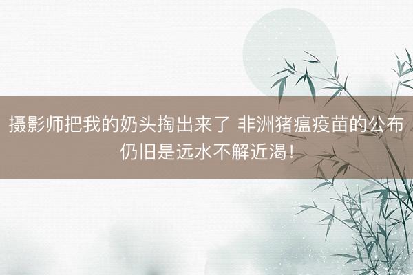 摄影师把我的奶头掏出来了 非洲猪瘟疫苗的公布仍旧是远水不解近渴！