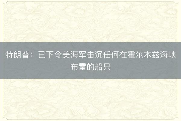 特朗普：已下令美海军击沉任何在霍尔木兹海峡布雷的船只
