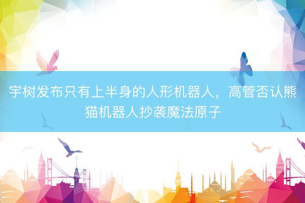 宇树发布只有上半身的人形机器人，高管否认熊猫机器人抄袭魔法原子
