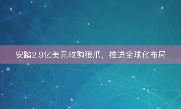 安踏2.9亿美元收购狼爪，推进全球化布局