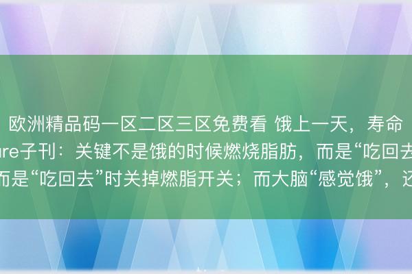 欧洲精品码一区二区三区免费看 饿上一天，寿命延长超40%？Nature子刊：关键不是饿的时候燃烧脂肪，而是“吃回去”时关掉燃脂开关；而大脑“感觉饿”，还能调整免疫系统