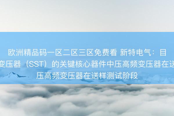 欧洲精品码一区二区三区免费看 新特电气：目前公司固态变压器（SST）的关键核心器件中压高频变压器在送样测试阶段