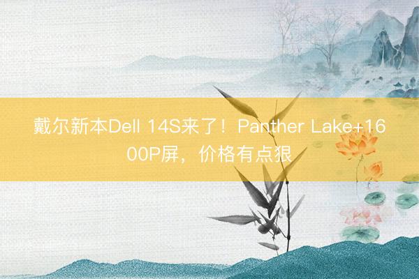 戴尔新本Dell 14S来了!Panther Lake+1600P屏,价格有点狠