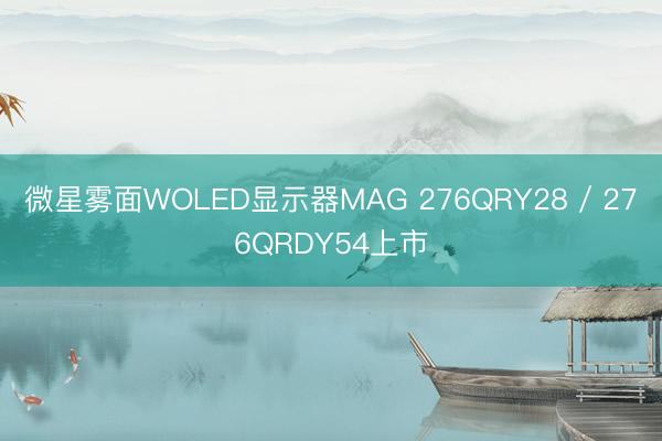 微星雾面WOLED显示器MAG 276QRY28 / 276QRDY54上市