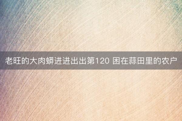 老旺的大肉蟒进进出出第120 困在蒜田里的农户