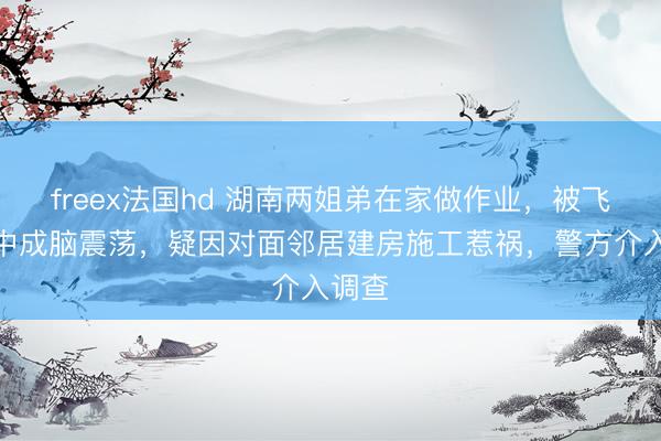 freex法国hd 湖南两姐弟在家做作业，被飞石击中成脑震荡，疑因对面邻居建房施工惹祸，警方介入调查