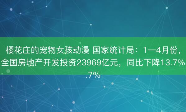 樱花庄的宠物女孩动漫 国家统计局：1—4月份，全国房地产开发投资23969亿元，同比下降13.7%
