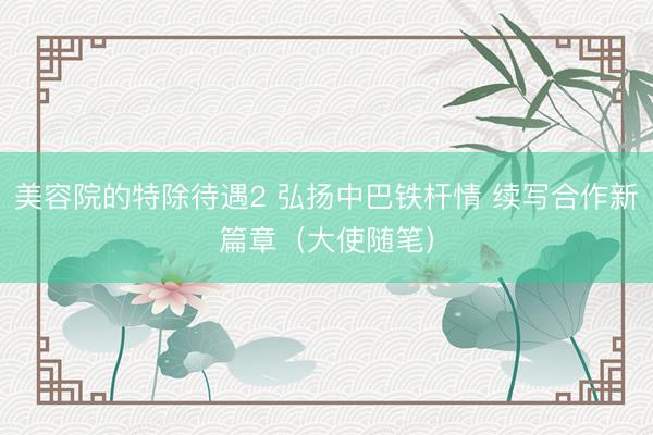 美容院的特除待遇2 弘扬中巴铁杆情 续写合作新篇章（大使随笔）