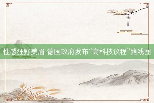 性感狂野美眉 德国政府发布“高科技议程”路线图