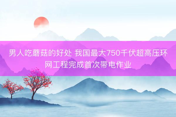 男人吃蘑菇的好处 我国最大750千伏超高压环网工程完成首次带电作业