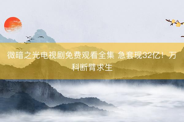 微暗之光电视剧免费观看全集 急套现32亿！万科断臂求生