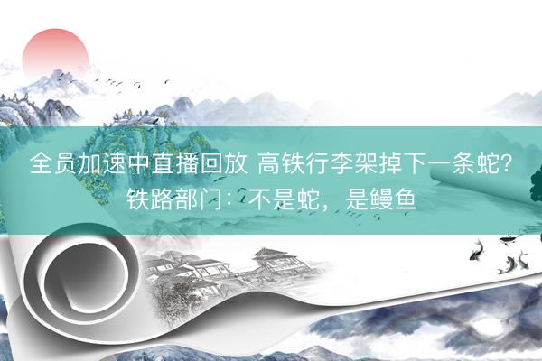 全员加速中直播回放 高铁行李架掉下一条蛇？铁路部门：不是蛇，是鳗鱼
