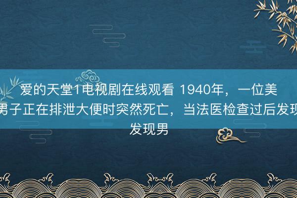爱的天堂1电视剧在线观看 1940年，一位美国男子正在排泄大便时突然死亡，当法医检查过后发现男