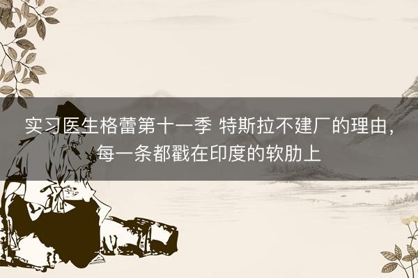 实习医生格蕾第十一季 特斯拉不建厂的理由，每一条都戳在印度的软肋上
