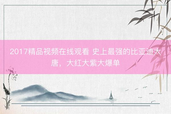2017精品视频在线观看 史上最强的比亚迪大唐，大红大紫大爆单