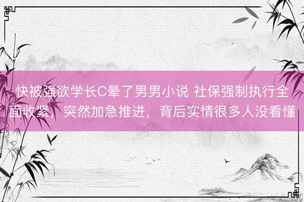 快被强欲学长C晕了男男小说 社保强制执行全面收紧，突然加急推进，背后实情很多人没看懂
