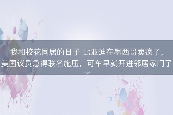 我和校花同居的日子 比亚迪在墨西哥卖疯了，美国议员急得联名施压，可车早就开进邻居家门了