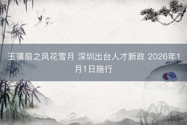 玉蒲扇之风花雪月 深圳出台人才新政 2026年1月1日施行