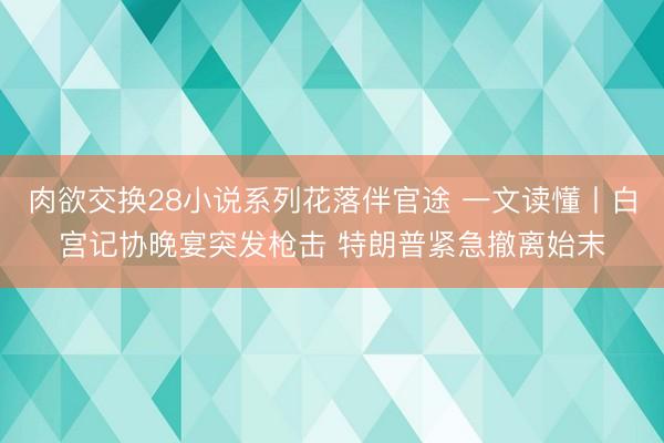 肉欲交换28小说系列花落伴官途 一文读懂丨白宫记协晚宴突发枪击 特朗普紧急撤离始末