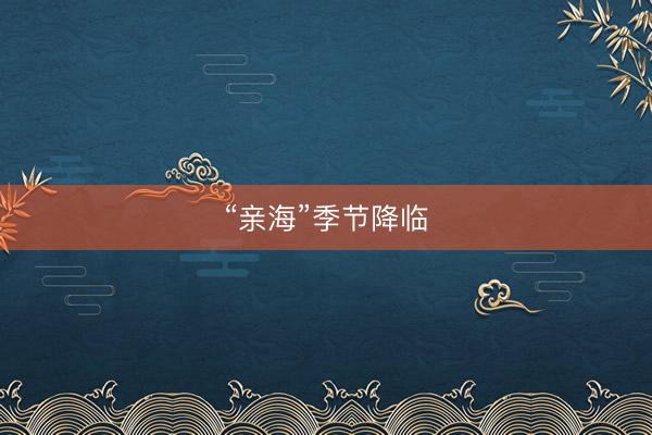 “亲海”季节降临