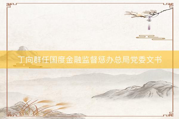 丁向群任国度金融监督惩办总局党委文书