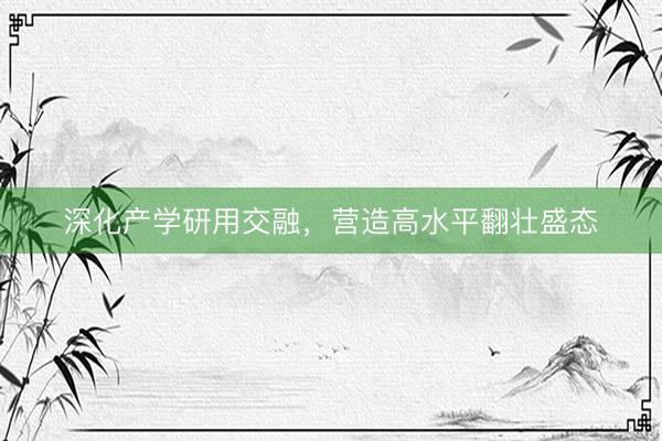 深化产学研用交融，营造高水平翻壮盛态