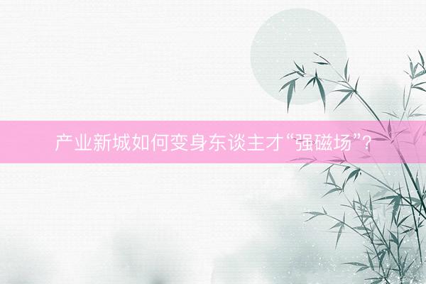 产业新城如何变身东谈主才“强磁场”？