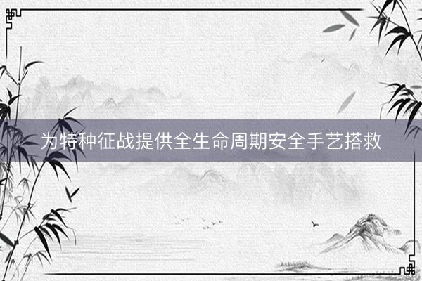 为特种征战提供全生命周期安全手艺搭救
