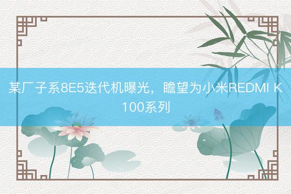 某厂子系8E5迭代机曝光，瞻望为小米REDMI K100系列