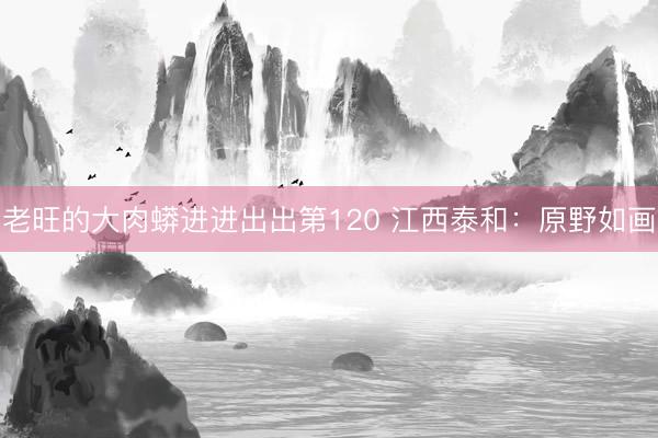 老旺的大肉蟒进进出出第120 江西泰和：原野如画