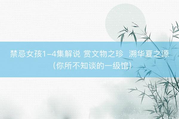 禁忌女孩1-4集解说 赏文物之珍  溯华夏之源（你所不知谈的一级馆）
