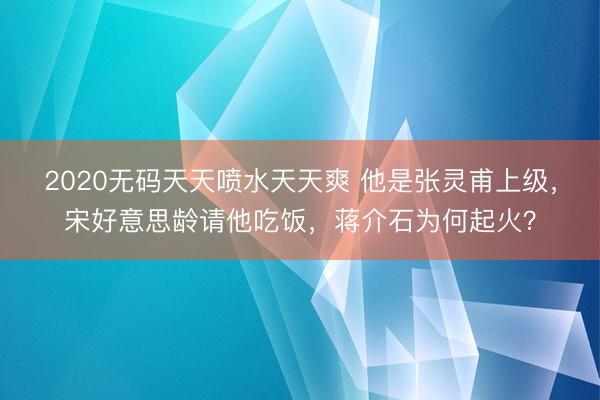 2020无码天天喷水天天爽 他是张灵甫上级，宋好意思龄请他吃饭，蒋介石为何起火？