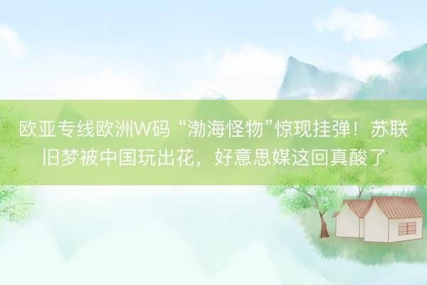 欧亚专线欧洲W码 “渤海怪物”惊现挂弹！苏联旧梦被中国玩出花，好意思媒这回真酸了