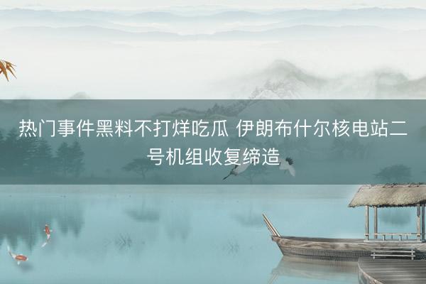 热门事件黑料不打烊吃瓜 伊朗布什尔核电站二号机组收复缔造