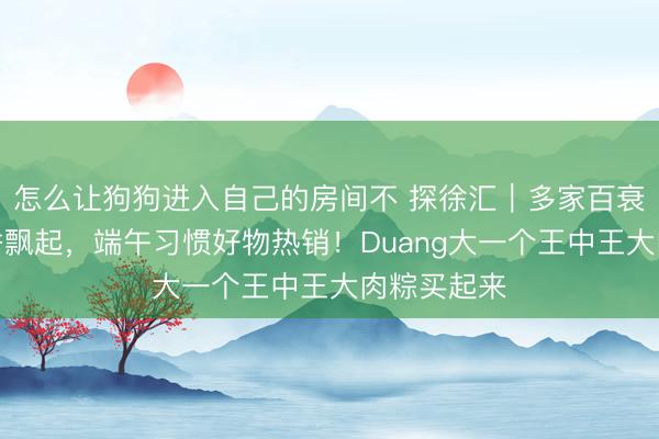 怎么让狗狗进入自己的房间不 探徐汇｜多家百衰老字号粽香飘起，端午习惯好物热销！Duang大一个王中王大肉粽买起来