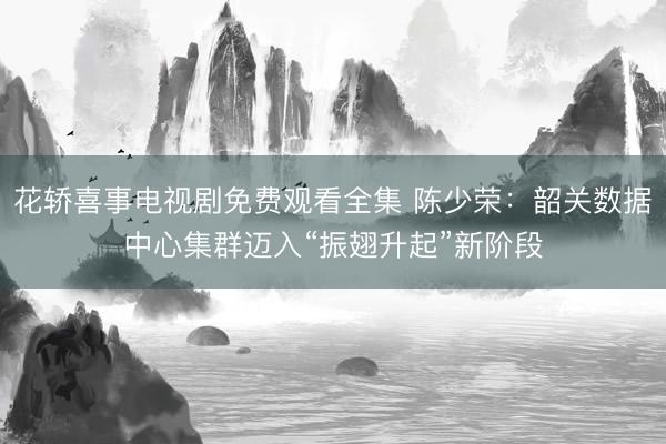 花轿喜事电视剧免费观看全集 陈少荣：韶关数据中心集群迈入“振翅升起”新阶段