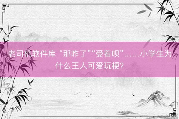 老司机软件库 “那咋了”“受着呗”……小学生为什么王人可爱玩梗？