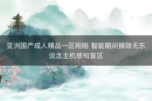 亚洲国产成人精品一区刚刚 智能期间摒除无东说念主机感知盲区