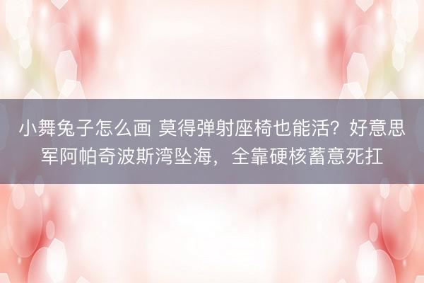 小舞兔子怎么画 莫得弹射座椅也能活？好意思军阿帕奇波斯湾坠海，全靠硬核蓄意死扛
