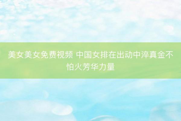美女美女免费视频 中国女排在出动中淬真金不怕火芳华力量