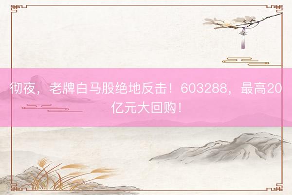 彻夜，老牌白马股绝地反击！603288，最高20亿元大回购！